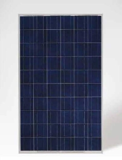 YingliSolar YGE235P-29b Serie 230, 235 Wp
